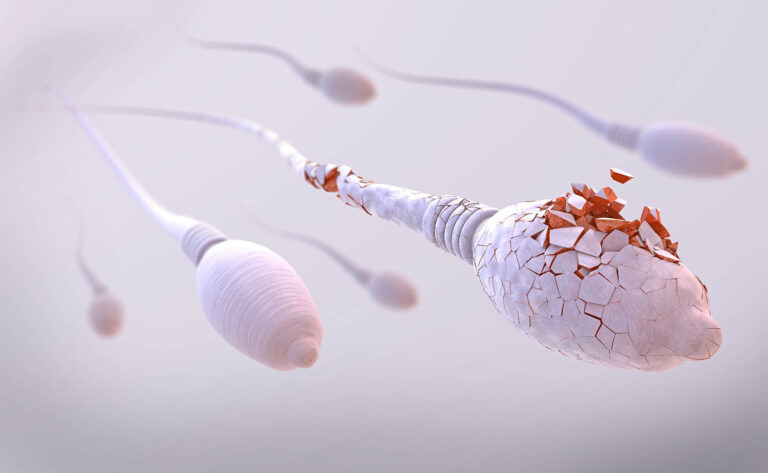 Spermageddon threatens human survival